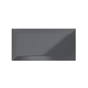 Trentie Anthracite Gloss Metro Ceramic Indoor Wall tile, Pack of 40, (L)200mm (W)100mm