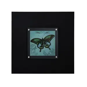 Interiors by Premier Butterfly 1 Framed Wall Art