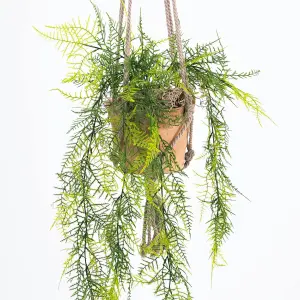 Blooming Artificial - 80cm / 2.5ft Fake Hanging Plumosus Fern