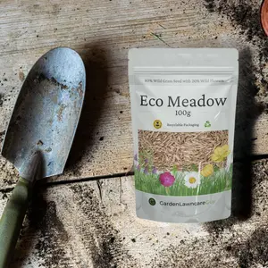 Eco Meadow - Grass & Wildflower SeedsMix 100g (20m²)