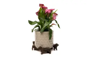 Dachshund Plant Pot Feet - Set of 3 - L7.5 x W10 x H5.3 cm