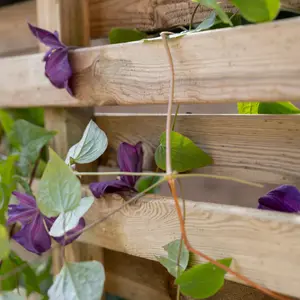 Wooden Garden Living Screen Planter