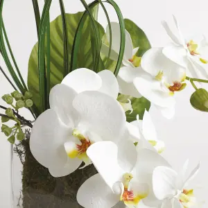 Bloom Artificial Large Orchid Plant in Glass Pot - Faux Fake Realistic Houseplant Floral Home Decoration - H32cm x W29cm