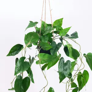 Blooming Artificial - 80cm / 2.5ft Faux Hanging Philodendron Scandens