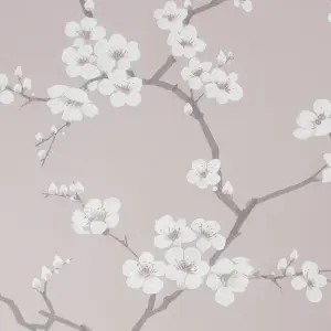 Fresco Apple blossom Pink Smooth Wallpaper Sample