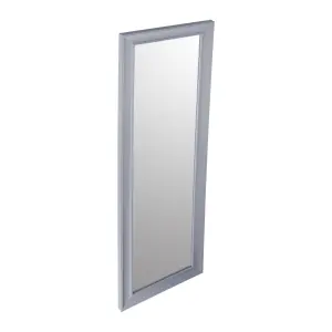 Grey Rectangular Wall-mounted Framed mirror, (H)131cm (W)41cm