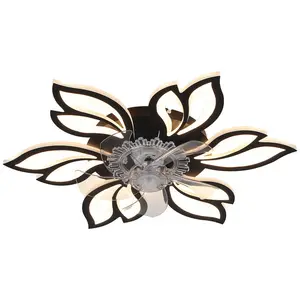 Armentha 65cm Ceiling Fan with LED Lights Black