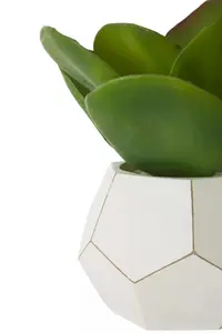 Fiori White Cement Pot Succulent Artificial Plant Foliage