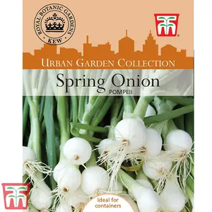 Spring Onion Pompeii 1 Seed Packet (250 Seeds)