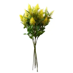 Pack of 6 x 55cm Callistemon Pallidus Yellow Bottle Brush Stem