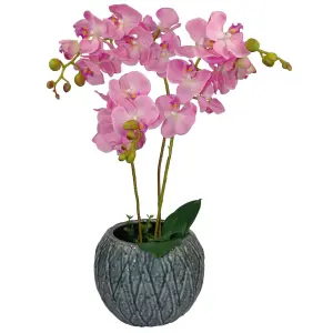 60cm Artificial Luxury Orchid -Triple Stem - Pink Realistic Plant