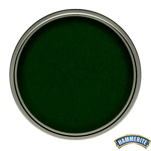 Hammerite - Hammered Direct To Rust Metal Paint- 2.5L - Dark Green