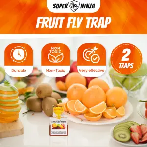 Super Ninja Fruit Fly Trap - 4 Traps - Highly Effective Ecological Fruit Fly Traps Indoor -  Fruit Fly Killer