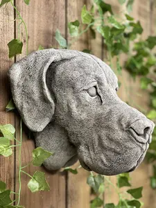 Adorable Great Dane Head Stone Wall Plaque