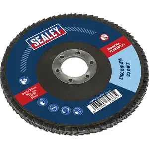 125mm Zirconium Flap Disc for Metalworking - 80 Grit - 22mm Bore