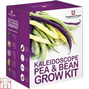 Seed Grow Kit Kaleidoscope Pea + Bean