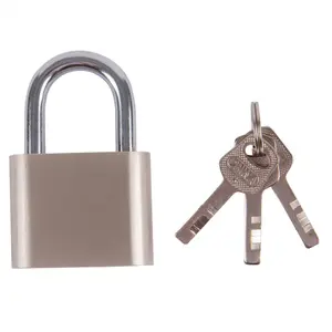 Blackspur - Iron Padlock - 5cm - Nickel