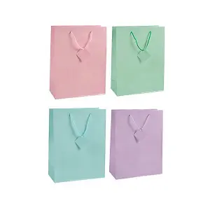 Unique Party Plain Paper Gift Bag (Pack of 4) Pink/Purple/Green/Blue (One Size)