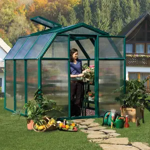 Palram - Canopia Eco Grow Green 6x6 Greenhouse