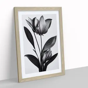 XV1022-2844X Monochrome Flower - Single Picture Frame Painting Oak / 64cm H x 46cm W x 2cm D