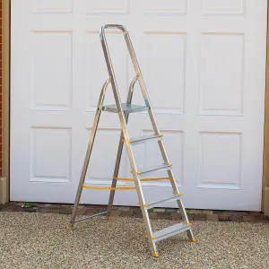 5 Step Trade Platform Step Ladder