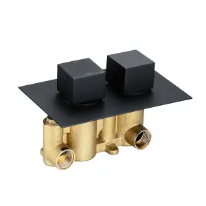 Zoia Black Dual Outlet Square Concealed Shower Valve