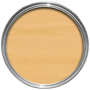 V33 Extreme protection Clear Satin Wood stain, 2.5L