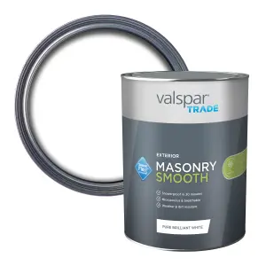 Valspar Trade Pure Brilliant White Smooth Matt Masonry paint, 5L Tin