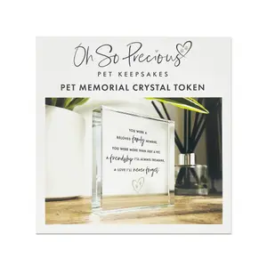 Pet Memorial Solid Glass Ornament Crystal Token