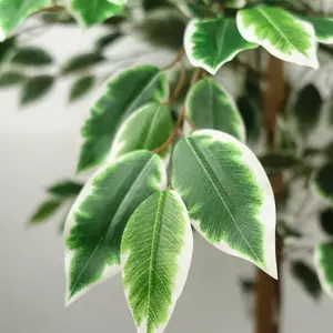 150cm Artificial Ficus Tree 1008 Silk Leaves