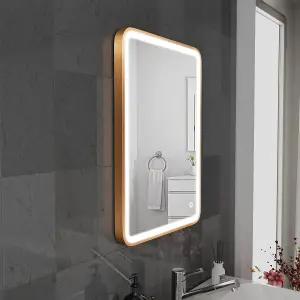 Harper & Harlow 500x700 Vela Brushed Brass LED Illuminated Bathroom Mirror