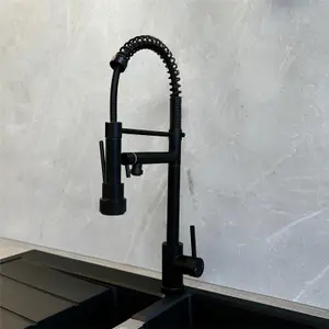 Liquida GR264MB Black Kitchen Mixer Tap With Swivel Spout And Directional Spray