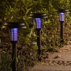 Ana-Veronica Black Low Voltage Solar Powered Integrated LED Pathway Light Pack (Set of 2)