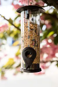 Nature's Market Wild Bird Hammertone Seed Feeder BF040