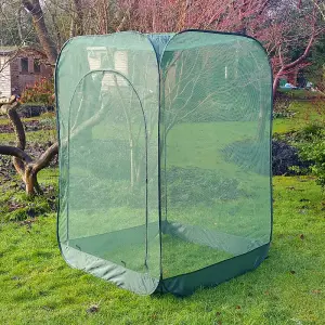 GardenSkill Pop Up Raspberry Fruit Cage Anti Bird Netting Plant Protection Cover 1.25m x 1.85m H