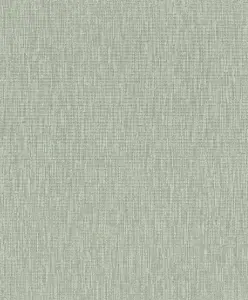 Rasch Florentine Woven Shimmer Pale Green and Silver Wallpaper