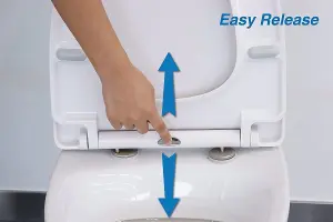 Euroshowers Standard D Shape Soft Close Quick Release Toilet Seat