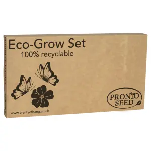 Pronto Seed Grow Your Own Flowers Kit - 5 Flower Seed Varieties - Gardening Gifts for Men and Women