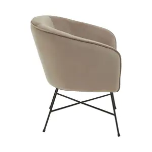 Interiors by Premier Mink Velvet Chair, Comfy Mink Outdoor Metal Legs Velvet Chair, Effortless Cleaning Velvet Chair