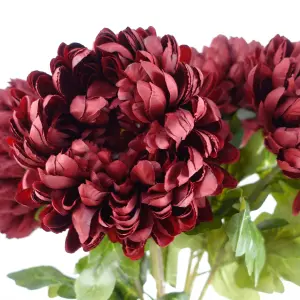 Pack of 6 x 75cm Extra Large Reflex Chrysanthemum - Red