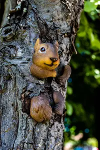 Squirrel Tree Peeker Garden Ornament