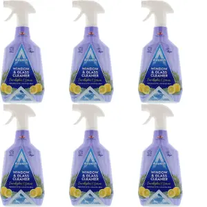 Astonish Window & Glass Cleaner, 750 ml (Pack of 6)