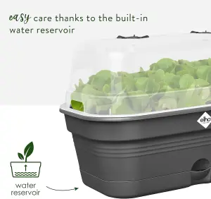 Elho Green Basics Medium All in 1  Recycled Plastic Grow Tray Living Black