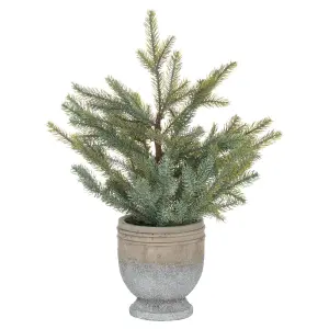 UK Homeliving Garda Pine Tree In Stone Pot