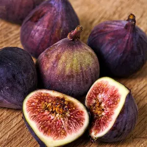 Fig Dauphine Fruit Bush Ficus carica Fruiting Shrub Plant 2L Pot 30cm - 40cm