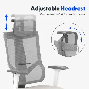 FlexiSpot Breathable and Comfortable Ergonomic Office Chair with Lumbar Support in Grey