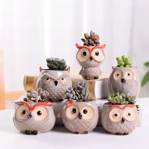 simpa 6PC Comic Owl Ceramic Plant Pots with Bamboo Base