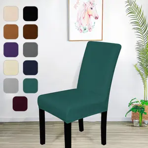 220GSM Universal Dining Velvet Chair Cover, Turquoise - Pack of 1