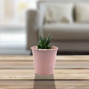 0.6L Pastel Pink Metal Planter Garden Herbs Plant 11cm Pot Embossed Leaf Bowl