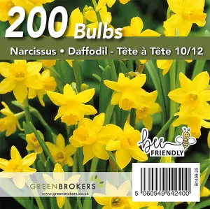 Yellow Narcissus Daffodil Bulbs, 200 Bulbs, Bee Friendly, Easy Planting, Perfect Spring Flowers, Eco-Friendly Packaging